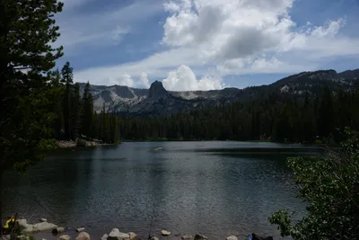 DSC_3229 (Large).JPG